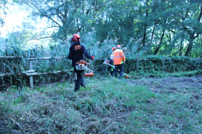 Mfr Vif Bac Professionnel Gmnf Gestion Des Milieux Naturels Et De La Faune